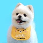허니수니 강아지 간식금지 노터치 케이프 S-XL 빕 케이프 애견 메세지 문구 턱받이 : 허니수니