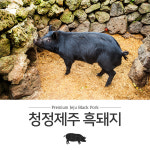 [산지직송] 청정제주 제주흑돼지 목살 500g : 제주니아