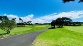 제주도 골프 패키지 여행 쏠라티 미니버스 관광버스 전세버스 대절 대여 골프장 골프텔 예약 : 제주골프부킹