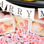 프로포즈세트 자동차 트렁크 이벤트 웨딩 셀프 기념일 결혼 발렌타인 화이트 : 세상을 흔든 이큐컴퍼니