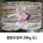[영일수산]원양오징어 20kg(L) : 영일수산