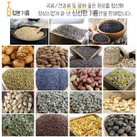 호박씨오일 호박씨기름 중국산 250ml : 정본기름