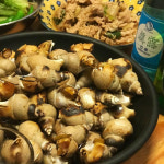 포항 구룡포 산지직송 생물 백고동 백골뱅이 大 500g 1kg 1.5kg : 어멍상회