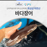 [거문도수산] 여수 최상급 특大바다장어구이 1kg-2마리 활붕장어아나고 /무료배송 : 거문도수산