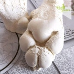 DIY 강아지 발 석고 조각 본뜨기 공예 캐스팅 몰드 반려동물 보이는 추억 만들기 KIT : 굿즈포펫
