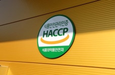 황금빛토마토즙100ml x 50팩 갈지않은저온추출100%국내산 HACCP인증 : 한아름 농장
