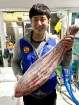 신안 임자도 자연산 활 민어 회 7kg 8kg 선택 : 신안해태수산