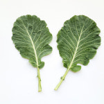 케일 유기농 쌈케일 무농약 쌈용 케일 제철채소 즙용 주스용케일 녹즙재료 1kg : 싱싱모아팜.