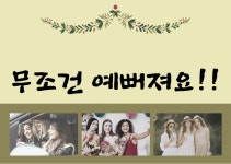 홈케어및 멤버쉽 금액권 결제 : 어원장의 홈스테틱 스토어