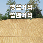 볏짚 거적 법면거적 볏짚/경사면녹화.토양유실방지/법면녹화 : 현대조경자재