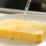 천연 목재 펄프 수세미 : 생활양식