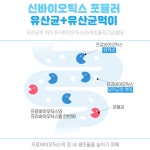 효과좋은유산균 약국 온가족 생 유산균 : 짱구네만물상