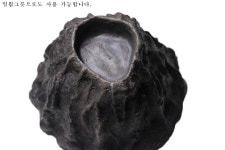 백두산 하이브리드 은신처 및  물그릇 : 파충류샵 정글펫
