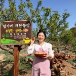 국내산 100% 정아네 건강 굼벵이환 120g : 정아네자연유정란