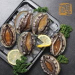 산지직송 완도 활전복 명품 2호 / 전복 선물세트 1.5kg (20-22미 구성) : 계절곳간 스토어