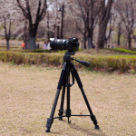 비소 카메라 스마트폰 미러리스 삼각대 BS-403 : 비소