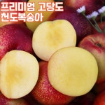 천도복숭아 2KG 서천 백도 딱딱한 복숭아 제철 : 한입두잇