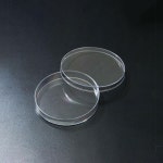 SPL 페트리디쉬 10090 90mm Petri Dish 샬레 실험기구 : 바이오브릿지