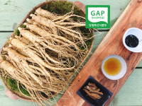 풍기인삼 햇수삼 1채(750g) 11-12뿌리 선물용/가정용 다양 : 풍기금계농장