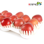 [사과] 긴들 맛깔나는 충주사과 5kg : 긴들몰