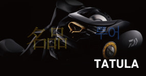 DAIWA 14 TATULA 103XHL-TW 다이와 14 타튤라 103XHL-TW : 스키터스 명품루어