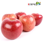 [사과] 긴들 맛깔나는 충주사과 5kg : 긴들몰