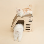 그린웨일 A5 고양이 원목 오각형 하우스 숨숨집 스크래쳐 : 그린웨일