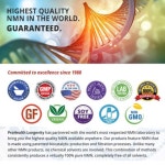 비건 ProHealth Pure NMN Pro 프로헬스 NMN 파우더 15g X3팩 : 팡팡엔젤
