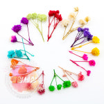 네일세상 드라이플라워 생화 12종 세트 : 네일 세상