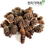 국산 오리나무열매 100g : 천지가약초