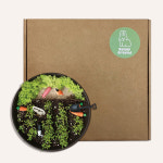 꼬마 농장 스몰월드 / 새싹키우기 식물키트 유치원 어린이 청소년 봄 참여수업 선물 지구의날 : 바니그라운드