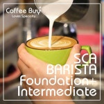 [서울 강남] SCA 커피 바리스타 초급+중급 국제 자격증 과정 프라이빗 클래스 (SCA Barista Foundation+Intermediate) (1:1개인수업)... 