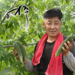 [판매자직발송] 국산 건여주 오키나와 정품 : 모단농장