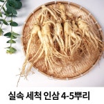 금산 국내산 수삼 인삼 5년근 6년 바로먹는 세척 수삼 200g 4-5뿌리 : 금산인삼시장센터
