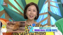 모스트벨제작 [정선희 착용] 여름 라운드 아크릴 로즈코인 동물농장 방송협찬 연예인귀걸이 : 모스트벨