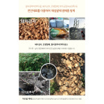 광양 유기농 개복숭아 (큼직) 5kg / 10kg 야생복숭아 약용열매 돌복숭아 기관지에 좋은 약이되는열매  6월 중순까지 발송완료 : 사계절을 담다