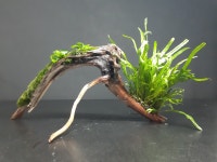 판매완료 물숲터널 물숲 : 물숲