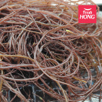 완도 꼬시래기 미역 줄기 미역귀 생꼬시래기 염장꼬시래기 1-10kg : 프레시홍