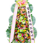 화환 근조화환 축하화환 개업 화분 장례식 결혼식 승진 동양란 전국당일꽃배달 : 친친플라워