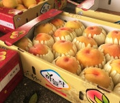 충주 산지직송 복숭아 달콤 말랑이 황도 엘바트 딱딱이 딱딱한 백도 상콤 월미 천중도 하늘작 물렁이 물복 딱복 4kg : 라엘 농장