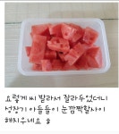시원하게 더위 쑥 빼주는 통통 줄무늬 선명하고 느낌까지달콤한 강경 수박 : 제니쌀롱