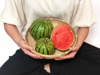 산지직송 프리미엄 고창 애플수박 미니 고당도 꿀 수박 농장 2입 3.5kg 작은 제철 : 싱싱투데이 농수산