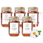 [거창북부농협] 100%국산 농협 하성벌꿀(캐닝머그잔/잡화) 500g 5병 : 오 마켓