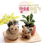 체험학습 실내공기정화식물  만들기 공기정화식물 DIY 키트 식물 키우기 수경식물 만들기재료 원예 체험 화분만들기 반려식물 : 명작화분명작토피