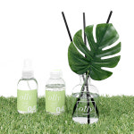 올리 몬스테라 디퓨저 기프트세트+섬유스프레이 실내 인테리어디퓨져 1+1 : 올리 Olly