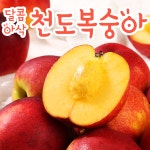푸릇푸릇 제철 천도복숭아 딱딱이 복숭아 2.5kg 5kg : 푸릇푸릇샵
