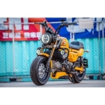 몽키125  좌우엔진가드 (안개등 불포함입니다.) : 바이크0007