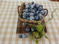 국산 무농약유기농 생블루베리 냉동과 1kg(혼합) : 제천 자연살이농장