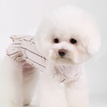 로로독 리즈 스트라이프 끈나시 원피스 강아지옷 고양이 나시 애견 의류 여름 티셔츠 : 로얄펫샵