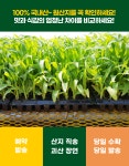 맛있는 여름 간식 / 조곡미림농원 괴산 장연 대학 찰 옥수수 30개입 : 조곡미림농원